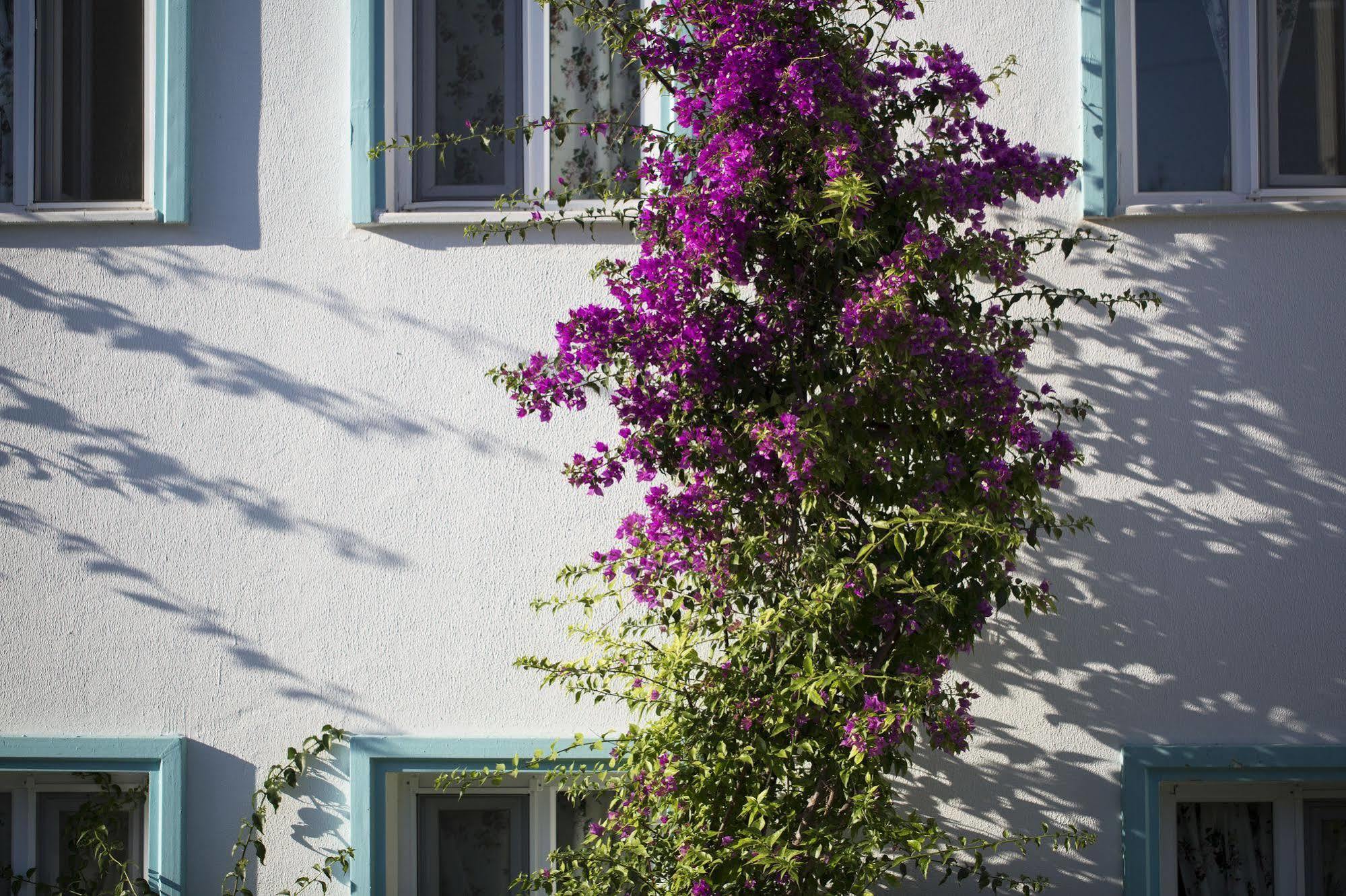 Istanbul Hotel Bodrum Türkbükü Esterno foto