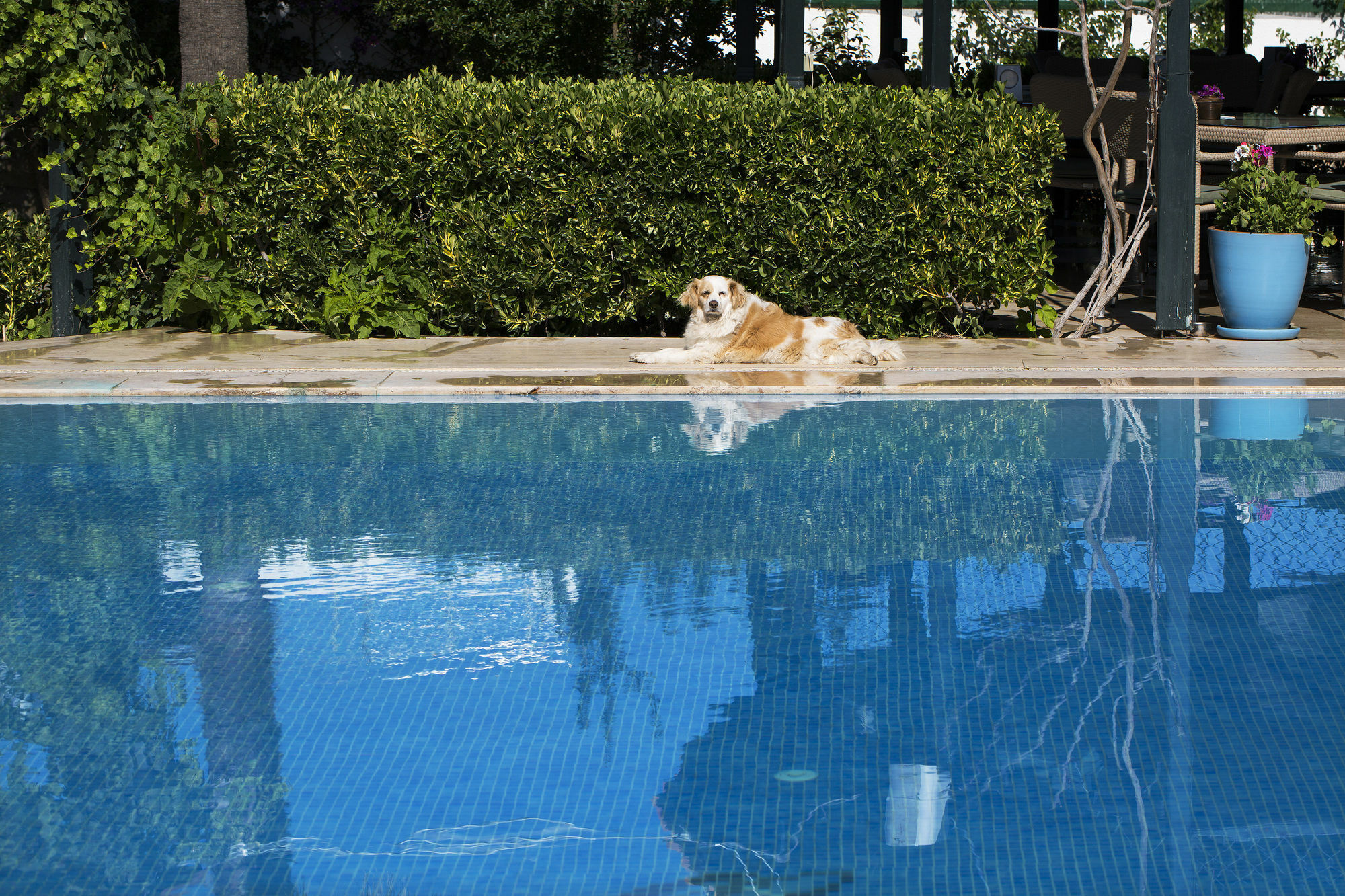 Istanbul Hotel Bodrum Türkbükü Esterno foto